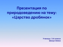 Презентация В царстве грибов