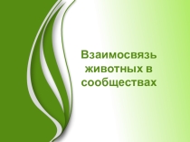 Презентация по биологии на тему: Взаимосвязь животных в сообществах