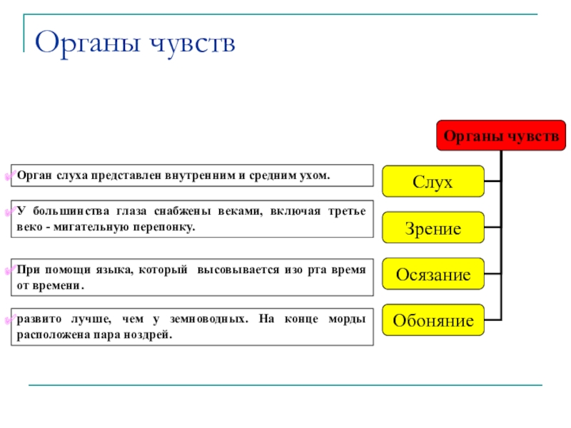 Чем представлена внутренняя