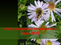 Презентация к уроку  Фитонциды и лекарственные растения в годы войны