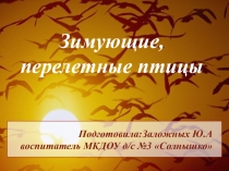 Презентация: Зимующие и перелетные птицы!