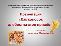 Как колосок хлебом на стол пришёл