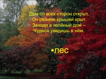 Презентация по окружающему миру на темуЗначение леса