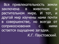 Смыслоовое чтение
