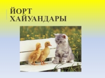 Презентация по башкирскому языку на тему Йорт хайуандары (1 класс)