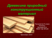Презентация по технологии на тему Древесина природный конструкционный материал