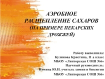 Исследовательская работа по теме Обмен веществ