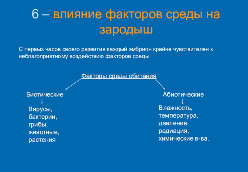 Влияние факторов среды на развитие плода презентация