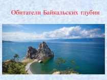 Викторина к экологическому уроку Обитатели Байкальских глубин