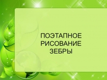 Поэтапное рисование зебры.