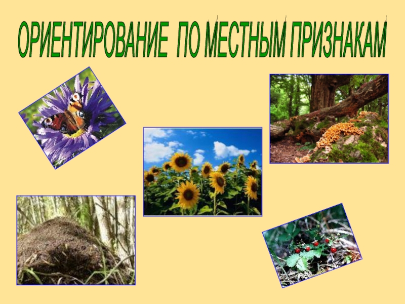 Презентация по окружающему миру Ориентация по местным признакам. ОРИЕНТИРОВАНИЕ ПО МЕСТНЫМ ПРИЗНАКАМ ОРИЕНТИРОВАНИЕ ПО МЕСТНЫМ ПРИЗНАКАМ