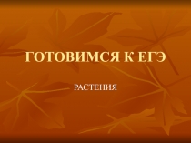 Презентация по биологии 11 класс Готовимся к ЕГЭ. Растения.
