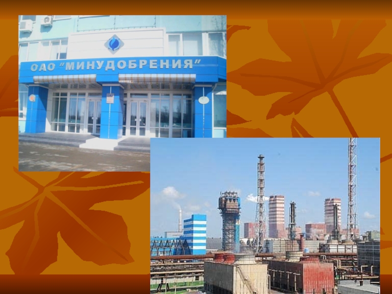 Презентация к классному часу Мой городок у слияния рек(к 80-летию г. Россоши)