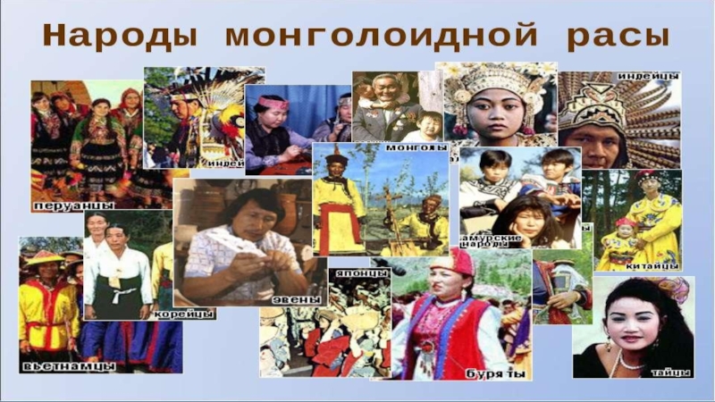 Раса нация народ. Монголоидная раса. Монголоидная раса представители народы. Народы России монголоидной расы. Традиции монголоидной расы.