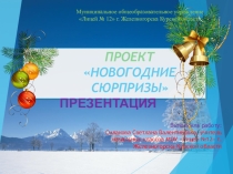 Презентация проекта Новогодние сюрпризы.
