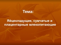 Презентация для открытого урока по биологии