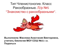 Презентация по биологии Ракообразные