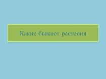 Презентация по окружающему миру на тему  Какие бывают растения