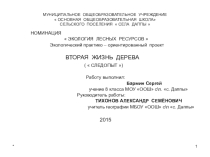 Экологический практико – ориентированный проект. Для Внеклассного мероприятие, Презентация. Вторая жизнь дерева