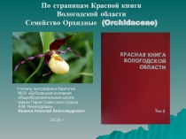 По страницам Красной книги Вологодской области (семейство орхидные)