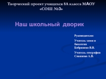 Проектная работа Наш школьный дворик