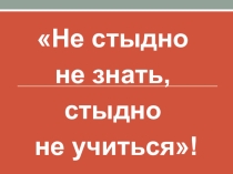 Презентация по русскому языку на тему Буквы ы-и после ц