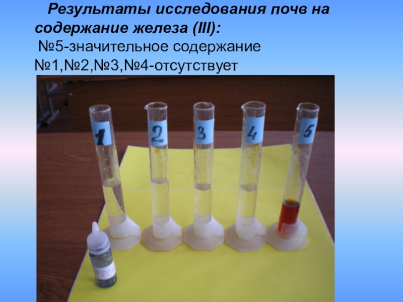 Проект по исследованию почвы