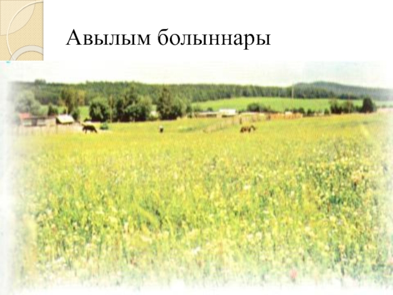Якташ әдипләребез турында презентация Бер Түрештән без дүртәүбез Авылым болыннары Авылым болыннары