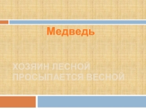 Презентация Медведь-священное животное у народа саха