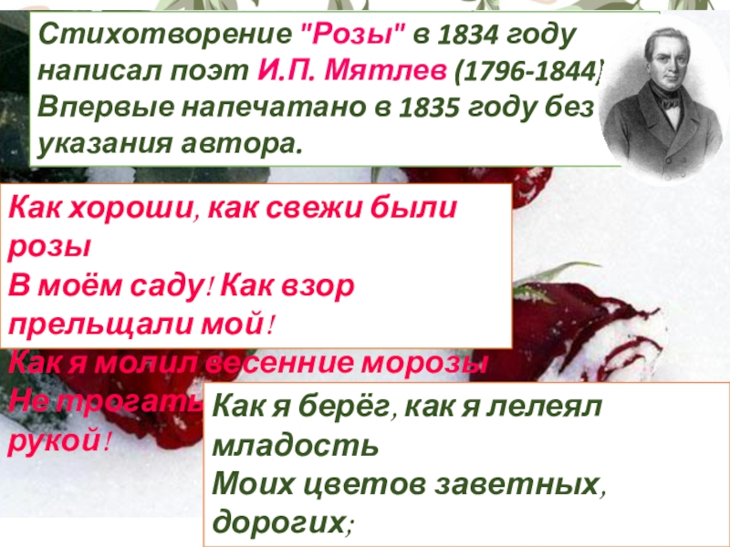 Как хороши как свежи были розы текст. Как хороши как свежи были розы стихотворение. Как хороши как свежи розы. Стихотворение розы Мятлев. Стих как хороши как свежи были розы в Моем саду.