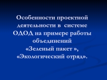 Работа по проектам объединения Экологический отряд педагог Смородина Я.В.