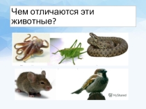 Презентация по биологии на тему: Организменная среда (5 класс) к учебнику Сухорукова Л.Н., и др.