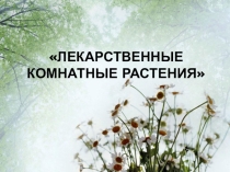Лекарственные растения