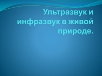 Ультразвук и инфразвук в живой природе.