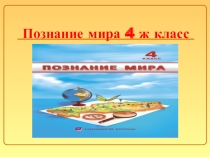 Презентация по познанию мира на тему Растения и животные степи