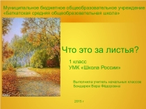 Поурочная разработка +презентация по окружающему миру на тему Что это за листья? (1 класс)