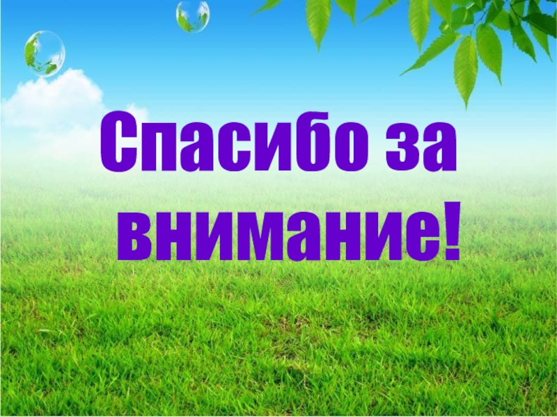 Внеклассное мероприятие День птиц Спасибо за внимание! Спасибо за внимание!