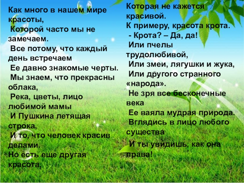Внеклассное мероприятие День птиц Как много в нашем мире красоты, Которой часто мы не замечаем. Как много в нашем мире красоты, Которой часто мы не замечаем. Все потому, что каждый
