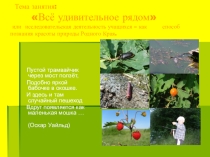Всё удивительное рядом или исследовательская деятельность учащихся – как способ познания красоты природы Родного Края.