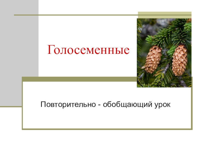 Повторительно обобщающий урок по обществознанию 9 класс презентация