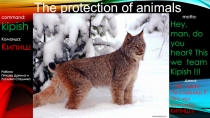 Презентация по английскому языку учеников 6 класса  Protection