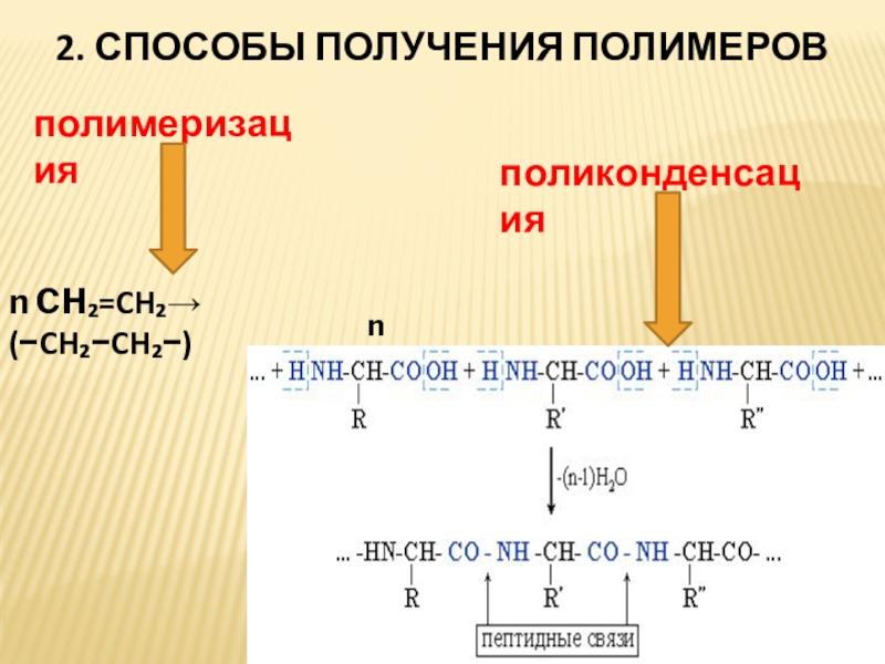 Презентация про полимеры 10 класс