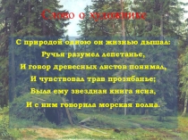Презентация по русскому языку по теме: Сочинение по картине Шишкина В лесу графини Мордвиновой