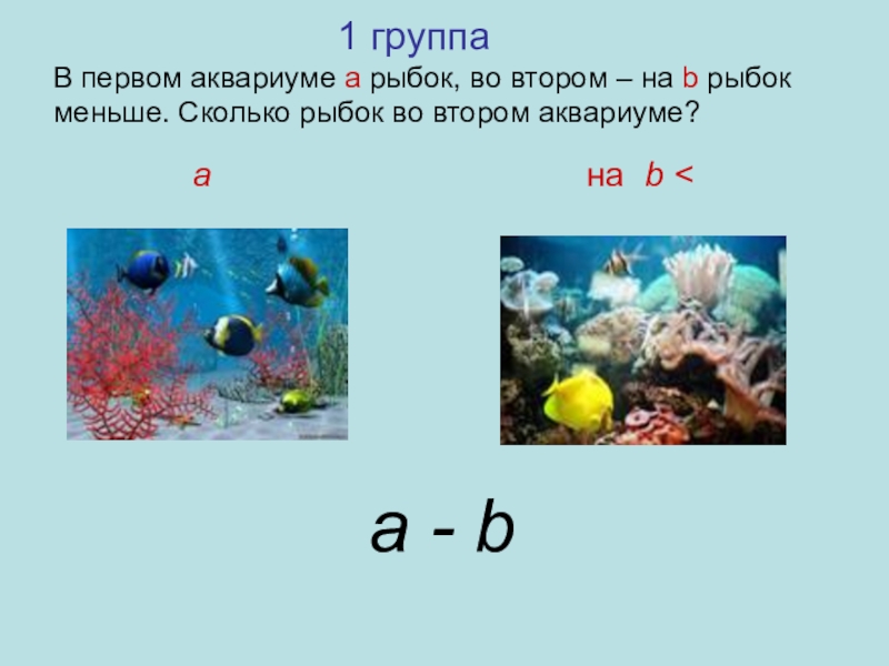 Всеми аквариумах было поровну рыбок. Калькулятор аквариумных рыбок. Как рассчитать количество рыбок в аквариуме. Количество воды на 1 аквариумную рыбку. Литраж аквариума и количество рыбок.