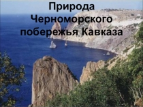 Природа черноморского побережья Кавказа