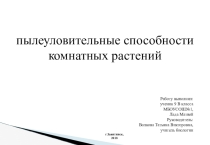 Презентация по биологии на тему  Пылеуловительные комнатные растения