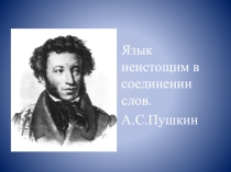 Урок по русскому языку