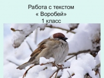 Работа с текстом  Воробей