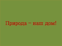 Презентация к классному часу Природа-наш дом!