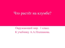 Окружающий мир 1 класс  Что растет на клумбе